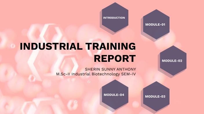 Industrial Training Presentation SEM-IV by Sherin Sunny on Prezi