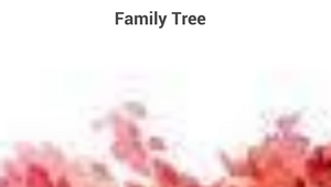 Family tree single template by Maria Gonzalez Rocha on Prezi Design