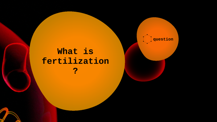 Where Do Babies Come From By Sam Snyder On Prezi where-do-babies-come-from-by-sam-snyder-on-prezi