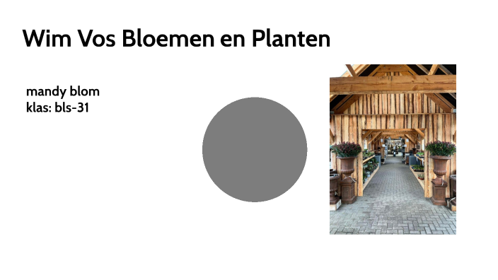 Wim Vos Bloemen & Planten