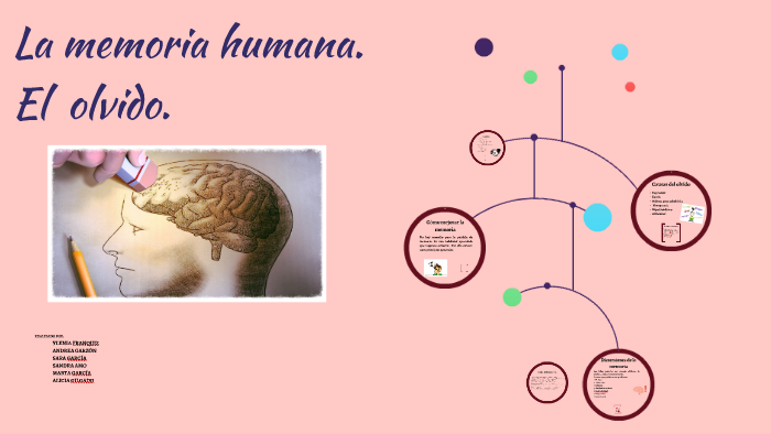 La memoria humana. by Sandra Amo Ortega on Prezi
