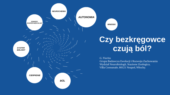 Czy bezkręgowce czują ból? by Julia Julia on Prezi