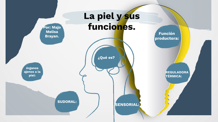 La piel y sus funciones. by Jesús Cortéz on Prezi
