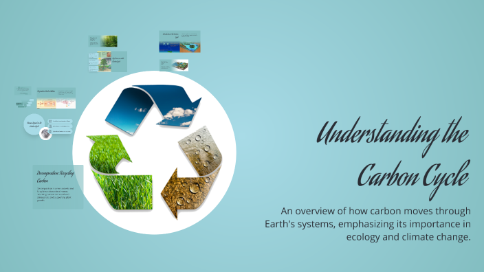 Understanding the Carbon Cycle by Rajin Latchman on Prezi