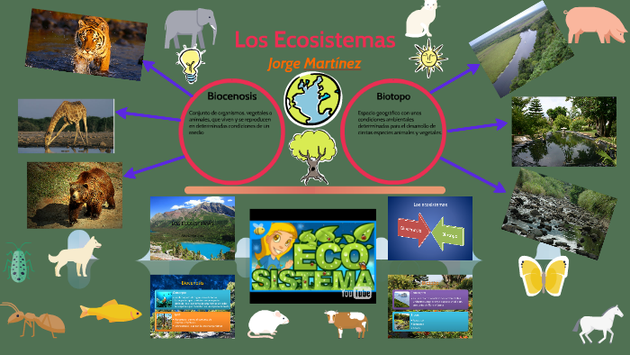 Los Ecosistemas by JORGE MARTINEZ on Prezi