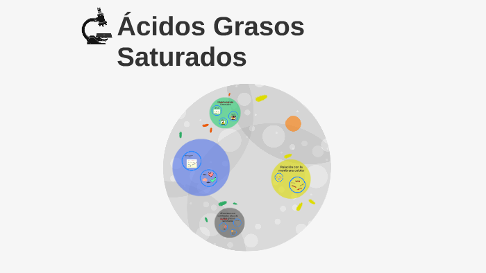 Acidos Grasos Saturados by Sebastián Aragón on Prezi