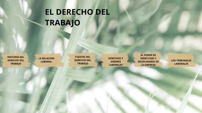 El derecho del trabajo by clinton vargas on Prezi