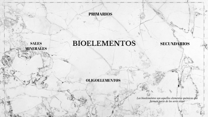 Esquema de los bioelementos by Belén :D on Prezi
