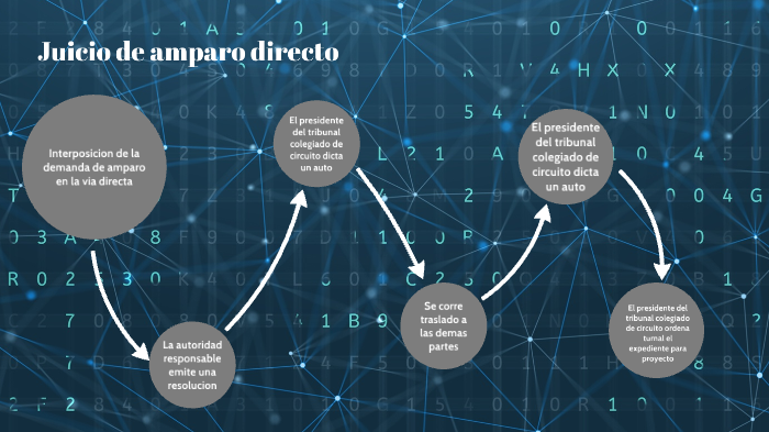 Juicio de amparo directo by Alejandra Ramirez on Prezi