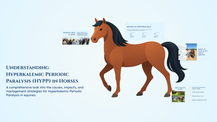 Understanding Hyperkalemic Periodic Paralysis (HYPP) in Horses by ...