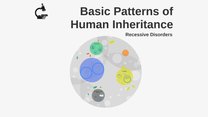 Basic Patterns Of Human Inheritance By Jillian Oreilly 