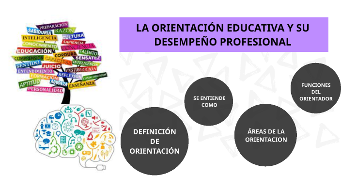 La orientación educativa y su expresión en el desempeño del profesional ...
