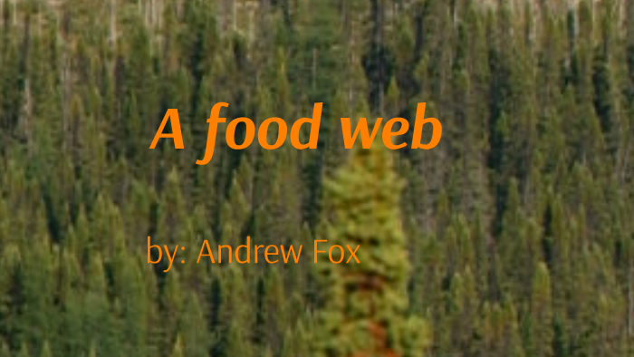 a-food-web-by-andrew-fo