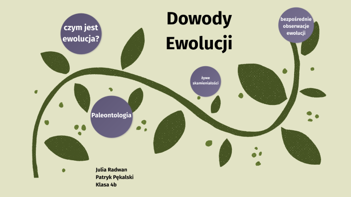 dowody ewolucji by Julka on Prezi