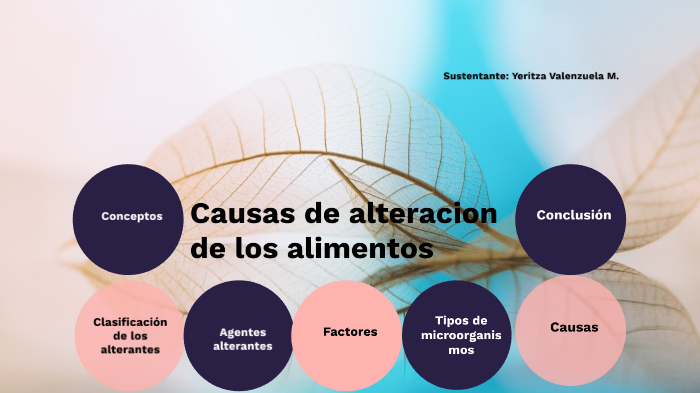 Causas de alteracion de los alimentos by Yeritza Valenzuela on Prezi