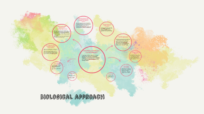 Biological approach by Imogen Stewart on Prezi
