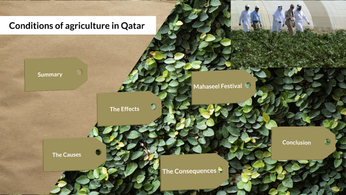 write an assignment on modern agricultural techniques of qatar