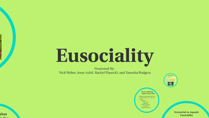 Eusociality By Rachel P On Prezi