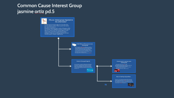 common cause interest groups