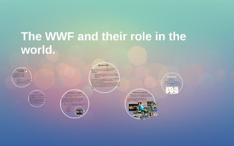 The WWF and their role in the world. by Montana B on Prezi