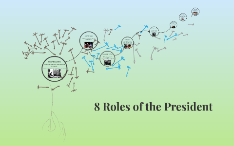 8 Roles Of The President By Allison Meinecke