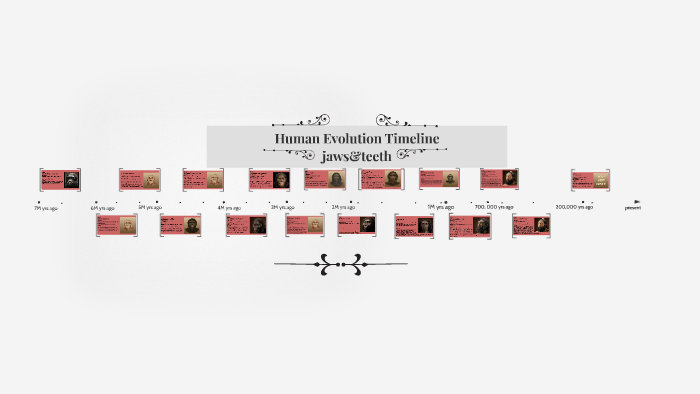 Human Evolution Timeline by Nica Cordova on Prezi