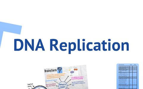 DNA Replication by Deanna Ly on Prezi