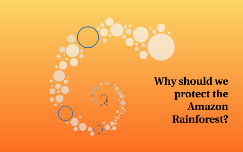 Why should we protect the Amazon Rainforest? by sarah de'athe on Prezi