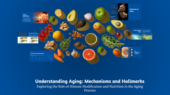 Understanding Aging: Mechanisms and Hallmarks by bideep Shrestha on Prezi