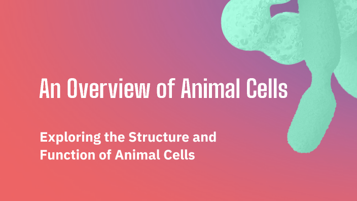 An Overview of Animal Cells by lano penagos on Prezi