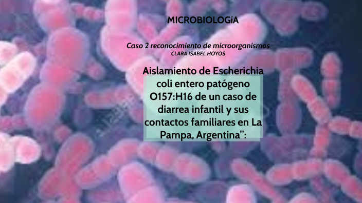 Aislamiento de Escherichia coli enteropatógeno O157:H16 de un caso de ...