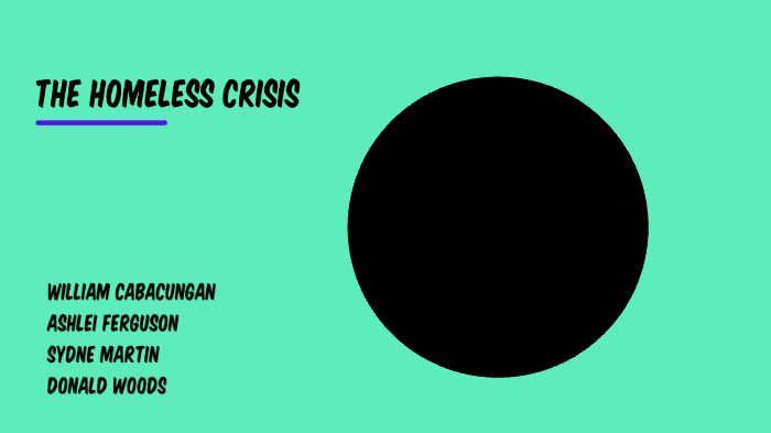 The Homeless Crisis by Sydne Martin on Prezi