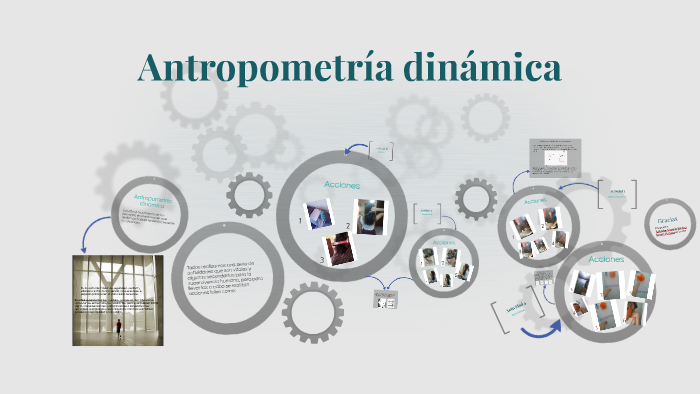 Antropometría dinamica by Brenda Martinez on Prezi