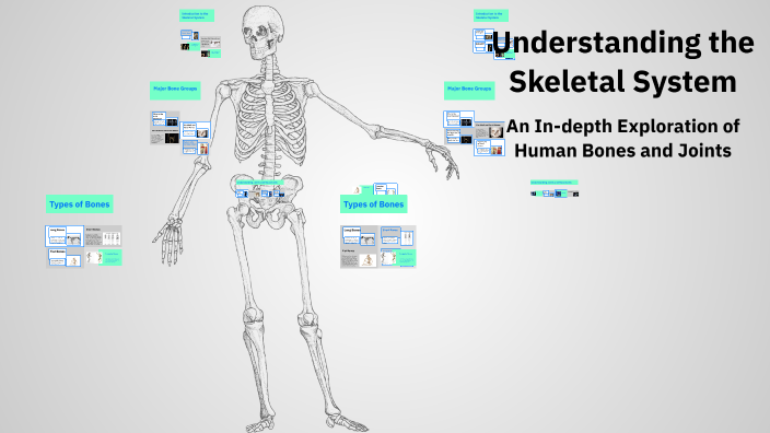 Understanding the Skeletal System by muthukumar sankaranarayanan on Prezi
