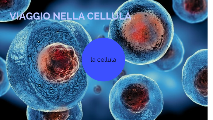 CELLULA by sabrina nasti on Prezi