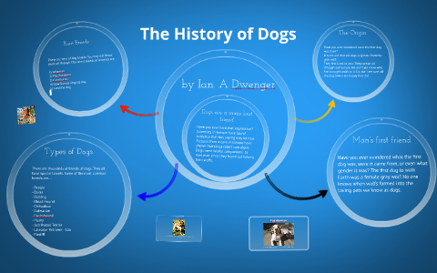 history of dogs essay