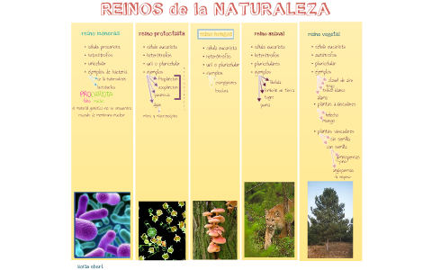 Reinos de la naturaleza by Sofia Eberl on Prezi