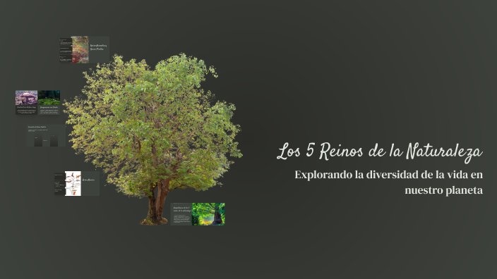 Los 5 Reinos de la Naturaleza by MIGUEL AARON AGUILAR MORALES on Prezi