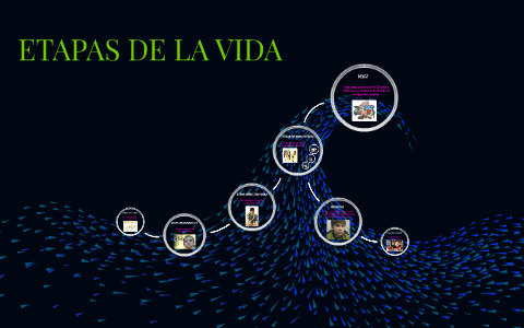 ETAPAS DE LA VIDA by DAYANA MURILLO on Prezi