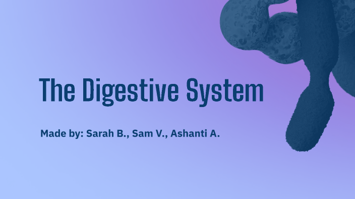 The Digestive System by Ashanti Alvarado Diaz on Prezi