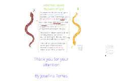 Hunting Snake Poem Analysis by JT by Josefina Torres