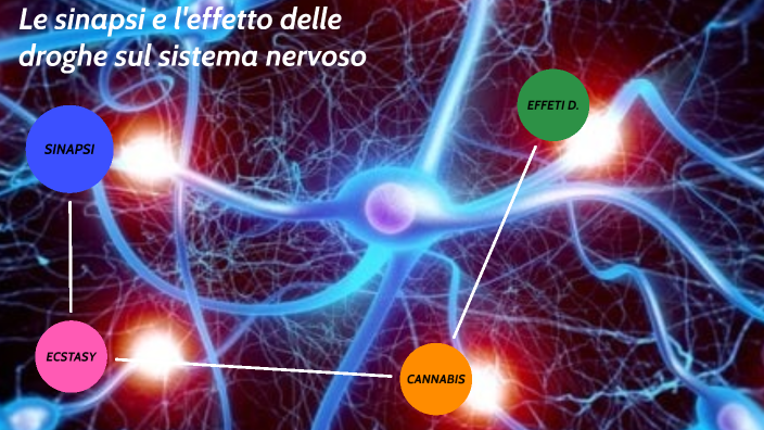 Le sinapsi | L'effetto delle droghe sul sistema servoso by Matteo Bonelli