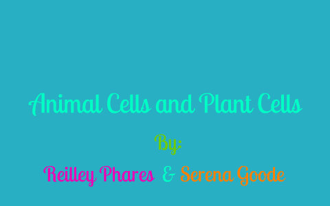 Animal Cells and Plant Cells by serena goode on Prezi