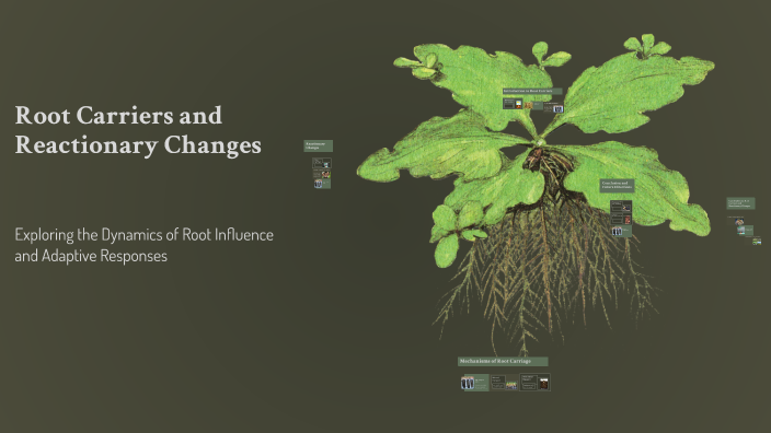 Root Carriers and Reactionary Changes by Biplob Kumar Roy on Prezi