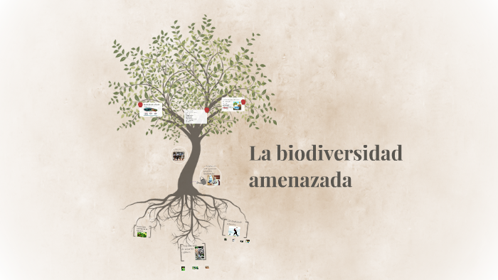 La Biodiversidad Amenazada By Claudia Villa García