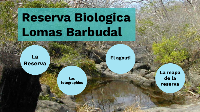 Nueva gavilla de sarmientos - Biomasas Bioaraba SC