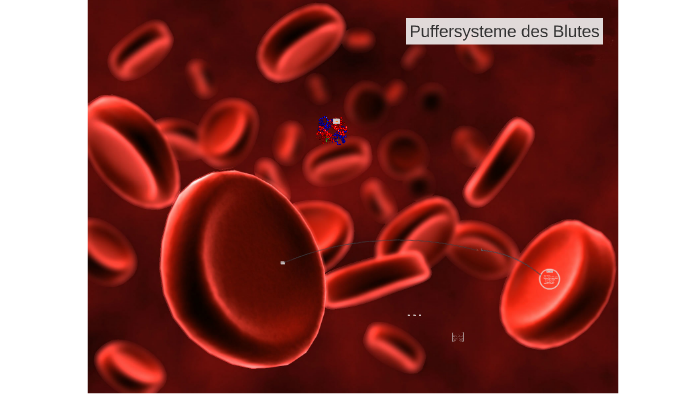 Puffersysteme des Blutes by Eric Knipping on Prezi
