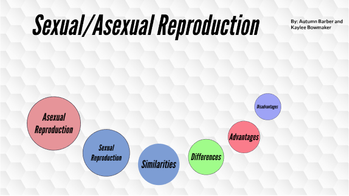 Sexual Asexual Reproduction By Kaylee Bowmaker On Prezi Next