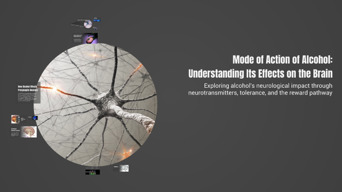 Mode of Action of Alcohol: Understanding Its Effects on the Brain by ...