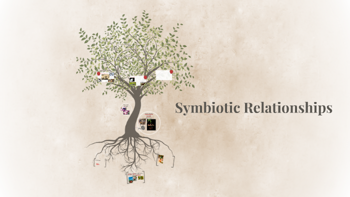 Symbiotic Relationships By Elisabeth B.